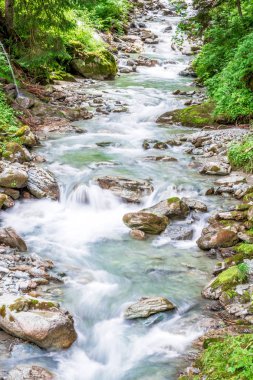 Kayalık üzerinde çalışan orman dağ Nehri