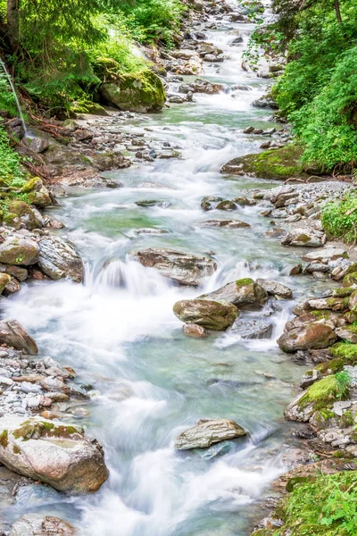 Kayalık üzerinde çalışan orman dağ Nehri