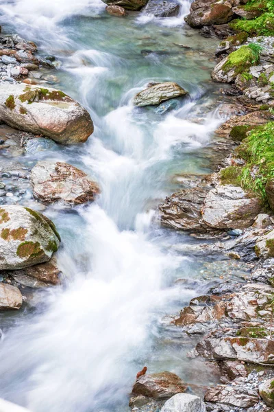 Kayalık üzerinde çalışan orman dağ Nehri