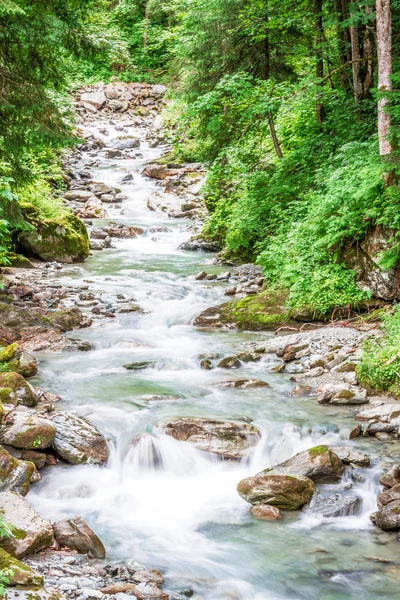 Kayalık üzerinde çalışan orman dağ Nehri