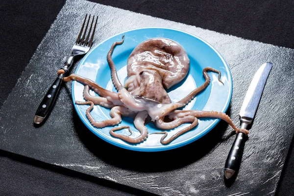 Chobotnice Modrém Podstavci Drží Příbory Černé Břidlici — Stock fotografie