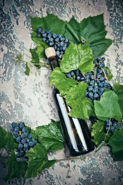 Şişe ve farklı beton koyu arka plan üzerinde üzüm şarap.