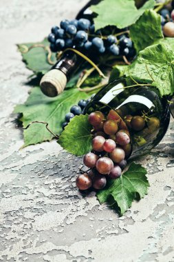 Şişe ve farklı beton koyu arka plan üzerinde üzüm şarap.