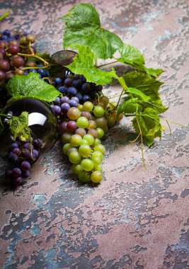 Şişe ve farklı beton koyu arka plan üzerinde üzüm şarap.