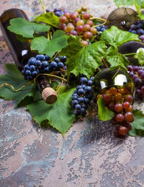 Şişe ve farklı beton koyu arka plan üzerinde üzüm şarap.