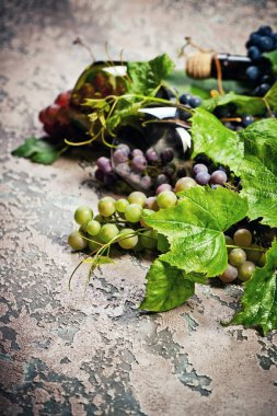 Şişe ve farklı beton koyu arka plan üzerinde üzüm şarap.