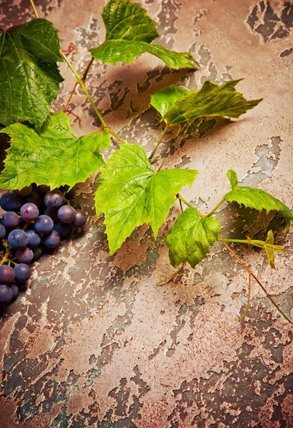 Vinho Garrafa Diferentes Tipos Uva Fundo Escuro Concreto — Fotografia de Stock