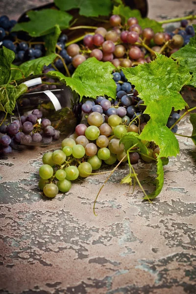 Wino Butelce Różne Rodzaje Winogron Tle Ciemnego Betonu — Zdjęcie stockowe