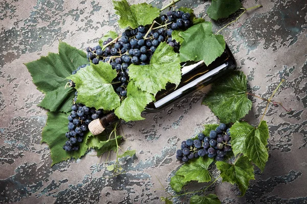 Wine Bottle Grapes Concrete Dark Background — Stock Photo, Image