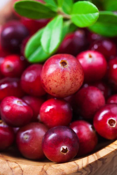 Close Shot Fresh Red Cranberries Wooden Bowl — Stock Photo, Image