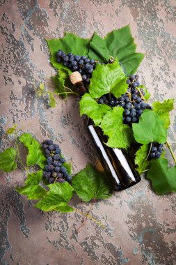 Beton zemin üzerine üzüm şarap şişe.