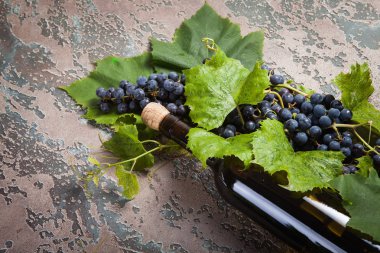 Beton zemin üzerine üzüm şarap şişe.