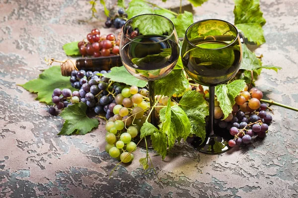 Wine Bottle Glasses Different Types Grape Concrete Background — Stock Photo, Image