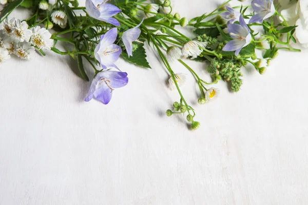 Vacker Sommar Blommor Bakgrund — Stockfoto