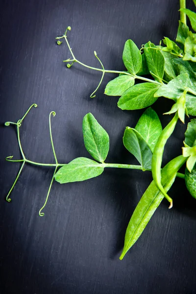 Siyah arkaplanda yeşil bezelyeler, üst görünüm