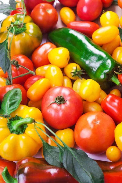 Tomates Legumes Variados Isolados Fundo Branco Foto Para Seu Design — Fotografia de Stock