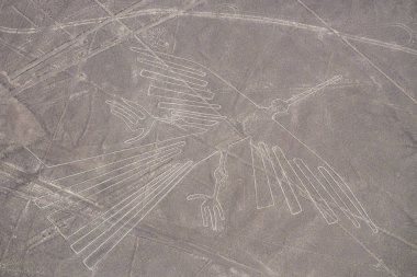 Nazca çizgileri - Condor - Landmark Peru.