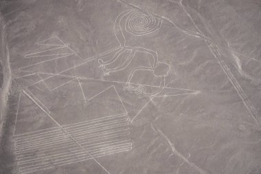 Nazca çizgileri - maymun (Peru)
