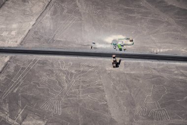 Nazca çizgileri - ağaçlar, kertenkele ve eller. (Peru)