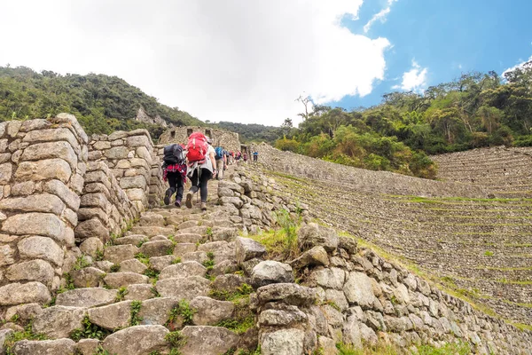 Winay Wayna Ruiny Szlaku Inków Machu Picchu Peru — Zdjęcie stockowe