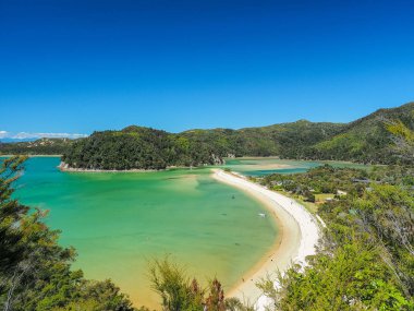 Sel Bay, Abel Tasman Ulusal Park. (Yeni Zelanda)