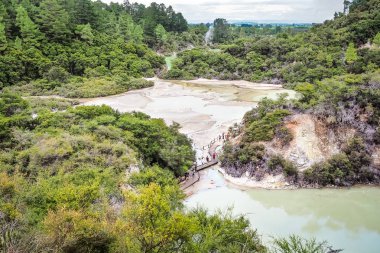 Wai-O-Tapu termal harikalar Rotorua, Yeni Zelanda.