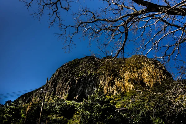 Sanbangsan Mountain Templet Den Jeju Island Sydkorea Kan Vackra Trädgrenar — Stockfoto