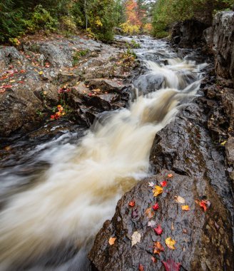 Sonbahar Acadia Milli Parkı Maine