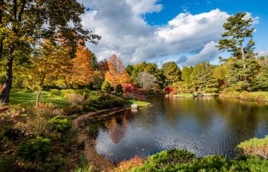 Acadia Milli Parkı Maine sonbahar sonbahar yaprakları