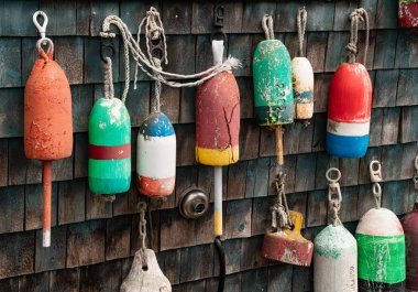 Maine 'deki Acadia Ulusal Parkı