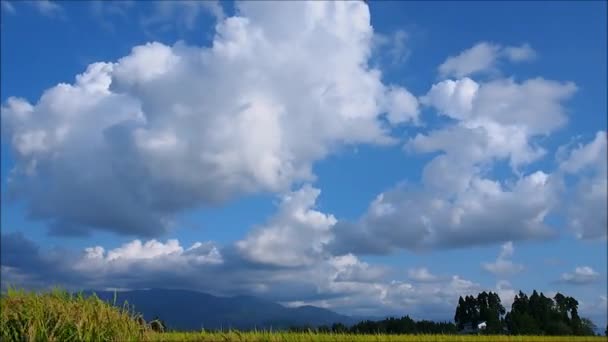 Time Lapse Cielo Blu Nuvole Paesaggi — Video Stock