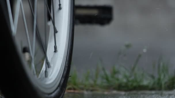 Kropla Deszczu Rainyday — Wideo stockowe
