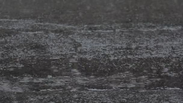 Pluie Goutte Eau Pluie Abondante — Video