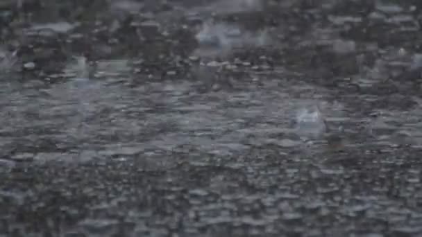 pluie goutte d'eau pluie abondante 