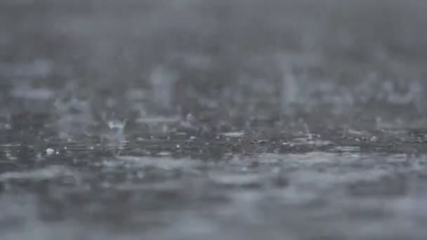 Raindrop Rainyday Heavy Rain — Stock Video