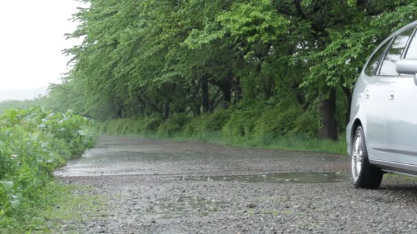 Gota Lluvia Lluvia Fuerte Lluvia — Vídeo de stock