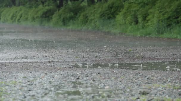 Chuva Chuva Chuva Chuva Pesada Dia — Vídeo de Stock