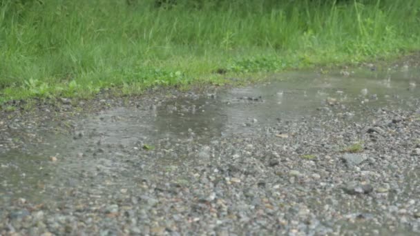 Chuva Chuva Chuva Chuva Pesada Dia — Vídeo de Stock