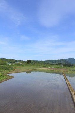 Bahar, pirinç alan, Akita, Japan, peyzaj