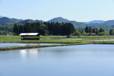 Bahar, pirinç alan, Akita, Japan, peyzaj