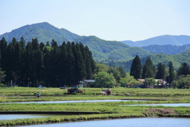 Bahar, pirinç alan, Akita, Japan, peyzaj