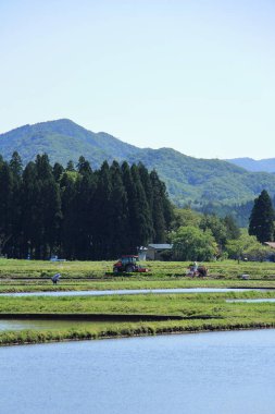 Bahar, pirinç alan, Akita, Japan, peyzaj