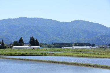 Bahar, pirinç alan, Akita, Japan, peyzaj