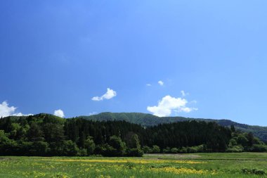 Bahar, pirinç alan, Akita, Japan, peyzaj