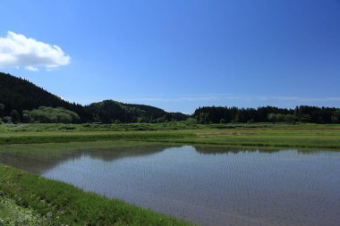 Bahar, pirinç alan, Akita, Japan, peyzaj