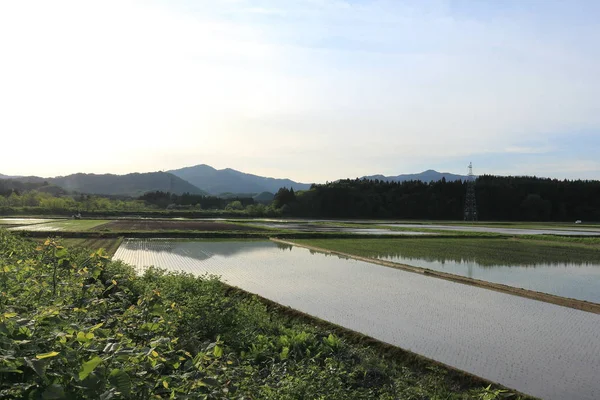 Frühling Reisfeld Akita Japan Landschaft — Stockfoto