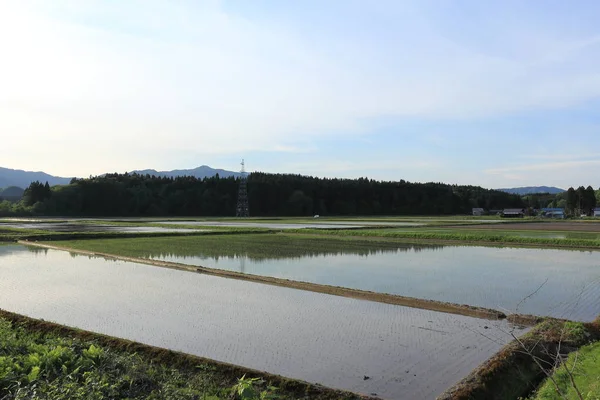 Bahar, pirinç alan, Akita, Japan, peyzaj