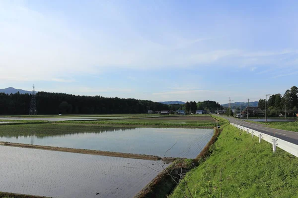 Primavera Campo Arroz Akita Japón Paisaje — Foto de Stock