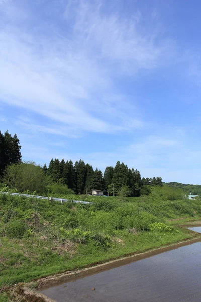 田んぼの秋田県の風景 — ストック写真