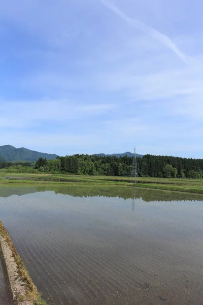 Primavera Campo Arroz Akita Japão Paisagem — Fotografia de Stock